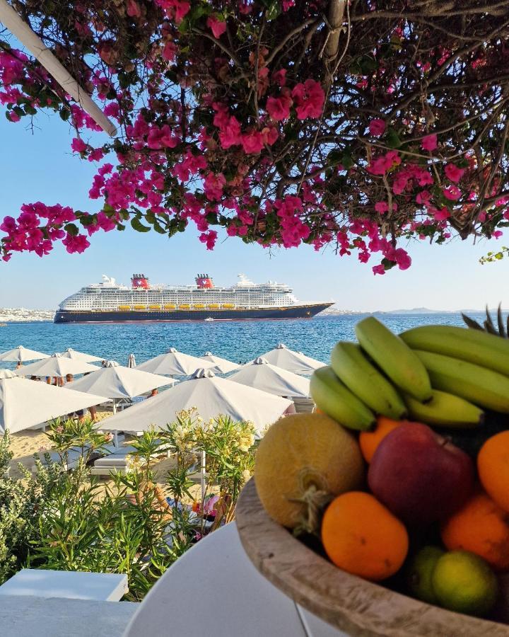 Sikate Hospitality Lägenhet Mykonos Town Exteriör bild
